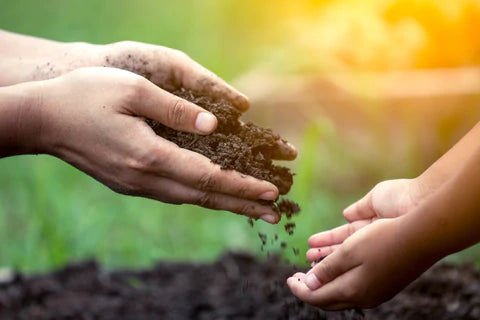 When is Organic not Organic?